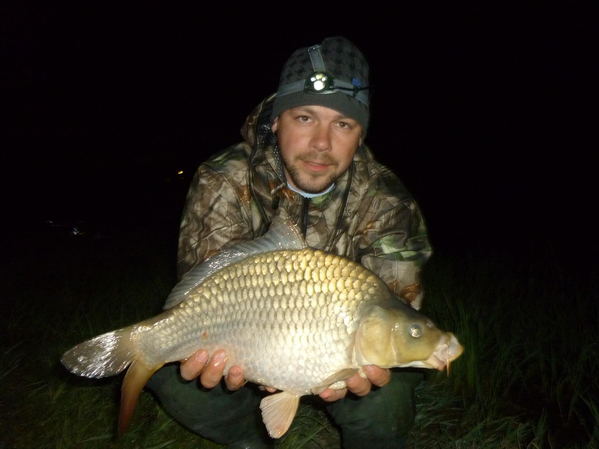 Stejeris 2011 - p1010939.JPG